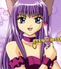 Junko Noda Zakuro Fujiwara ✦ Tokyo Mew Mew (2002)